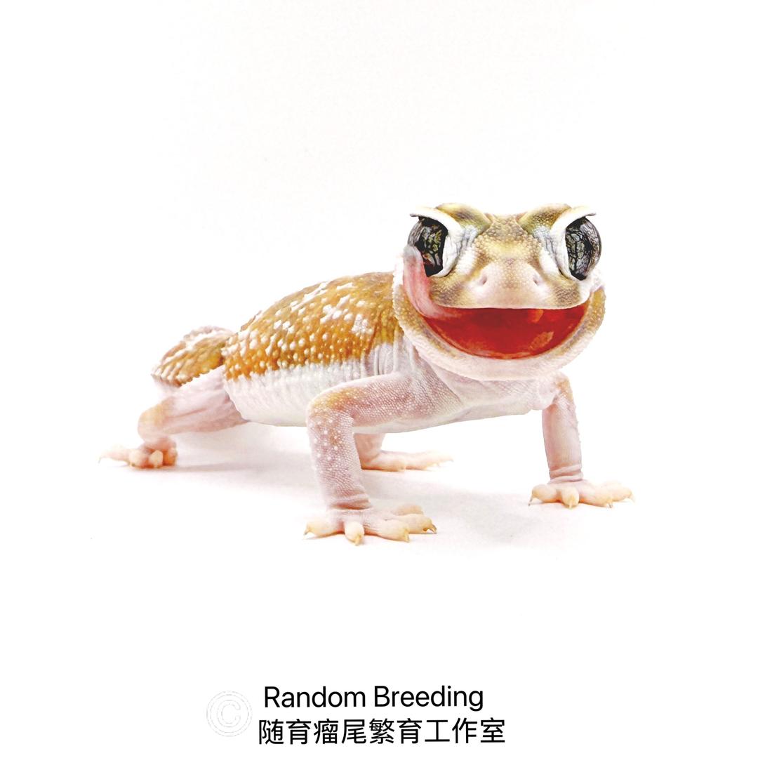 Random Breeding