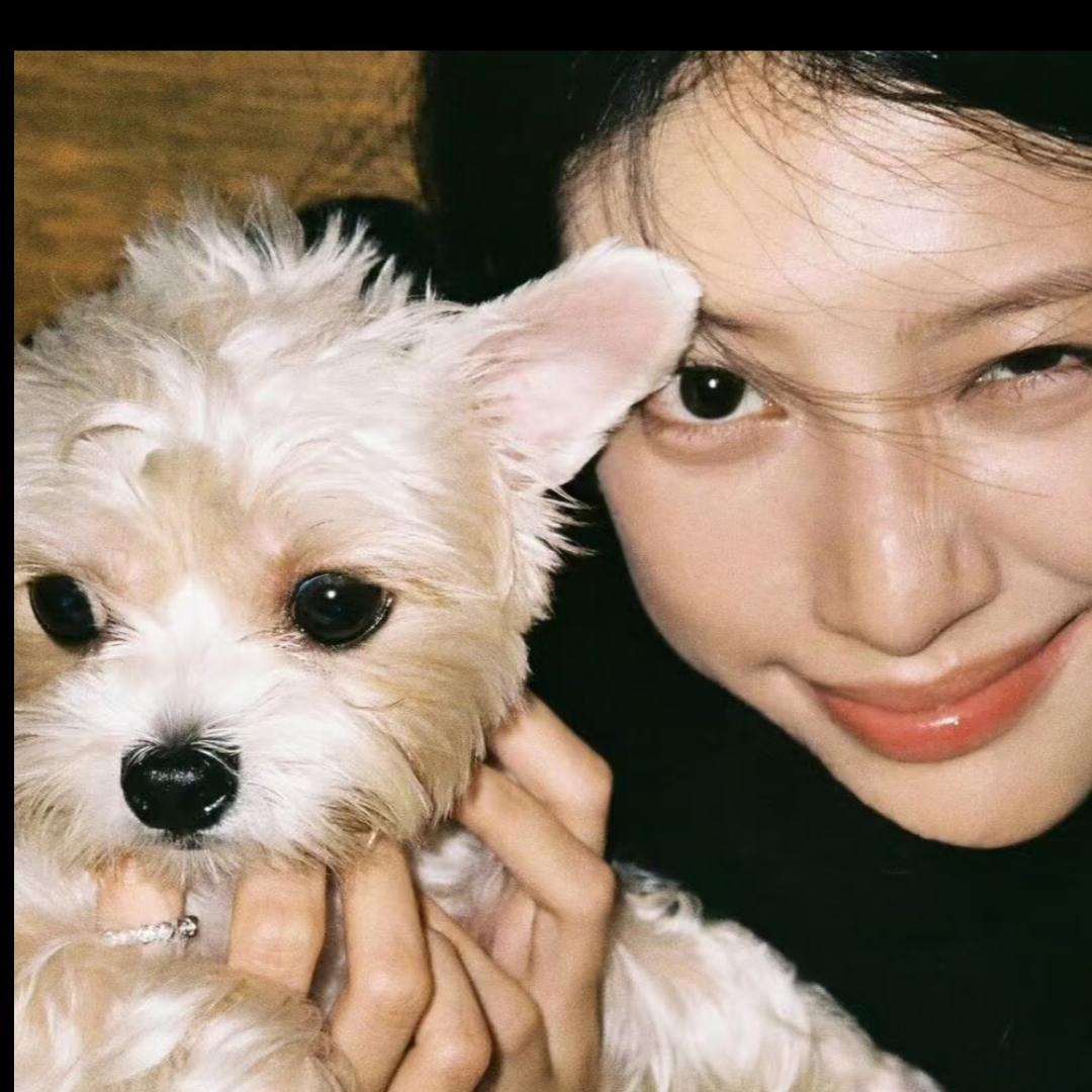 小Yang又困ˡᵃ💤