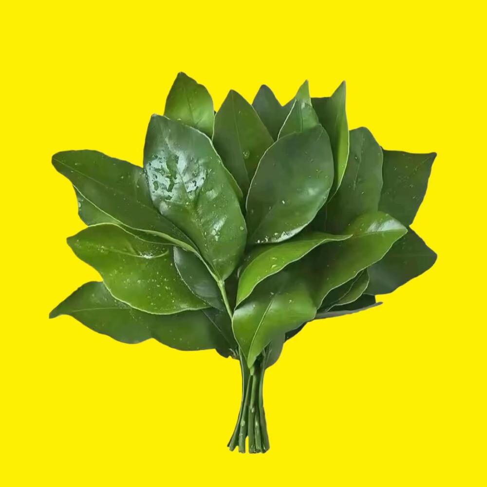 林木森