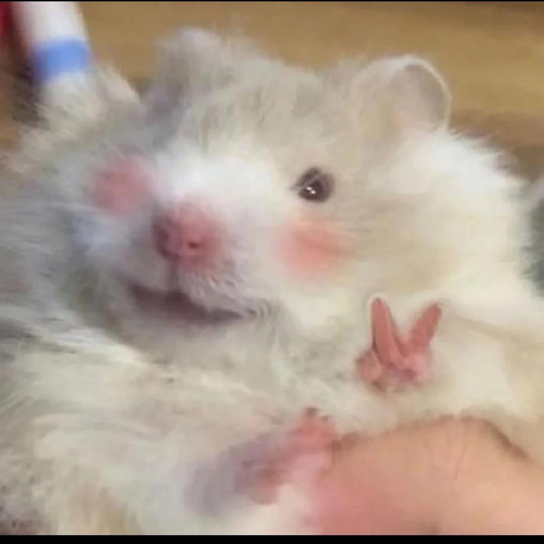 阳