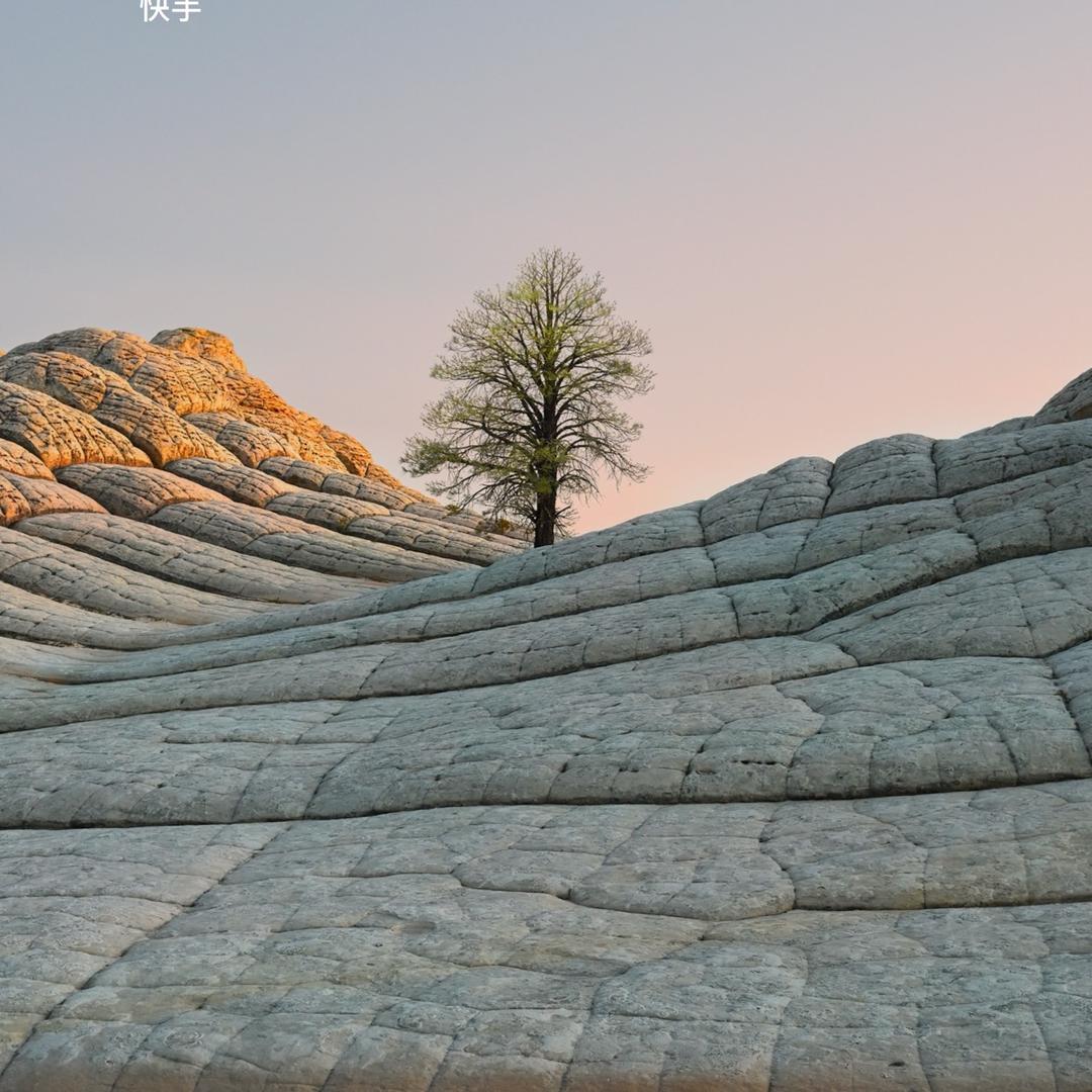 隐成-美美搭运营xiaomong（精选）