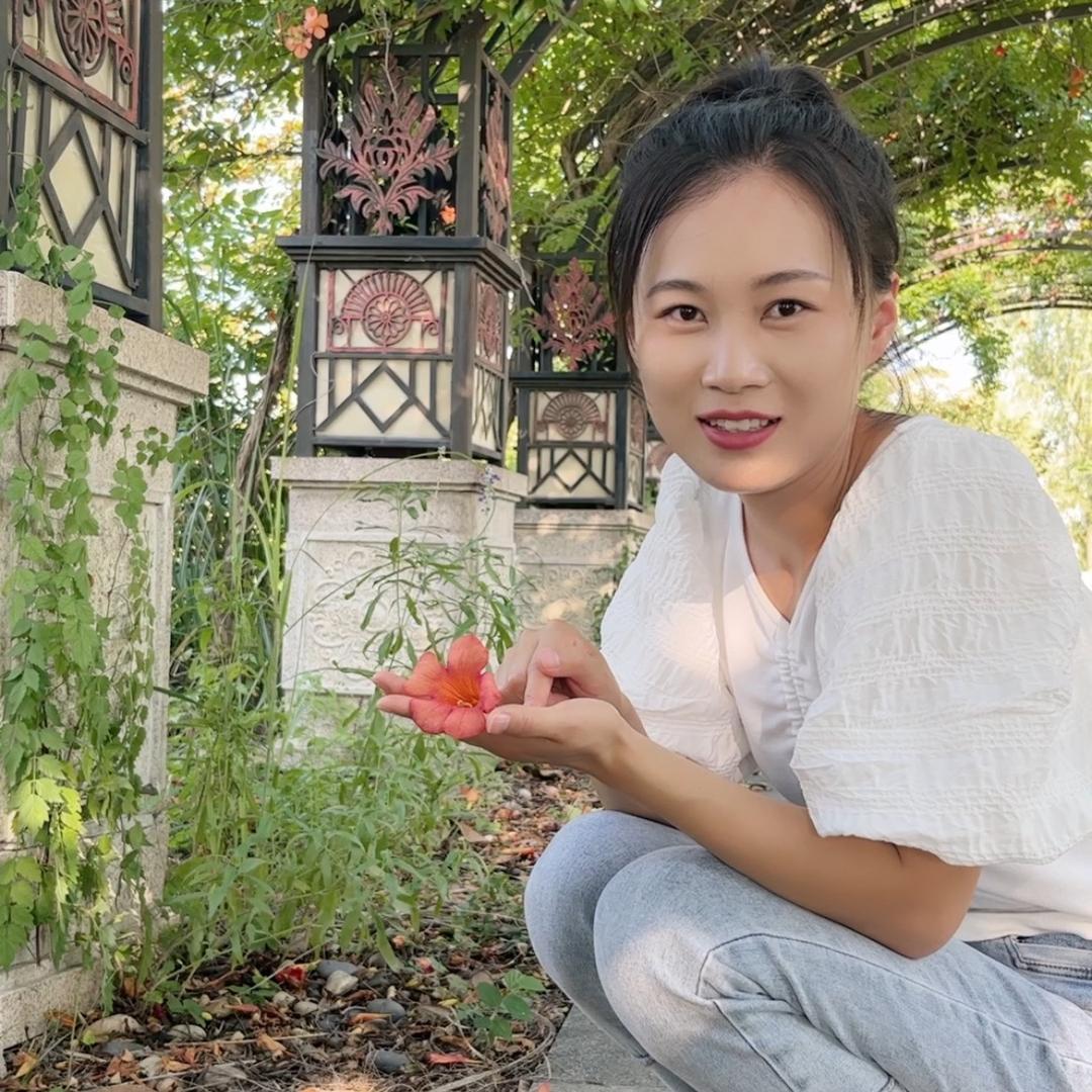 中药小凡