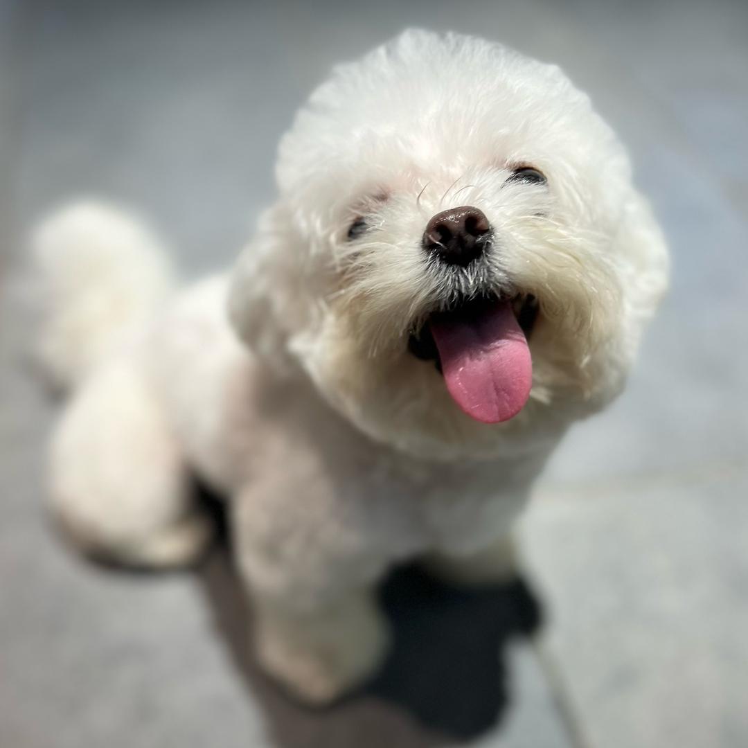 饭桶🥹