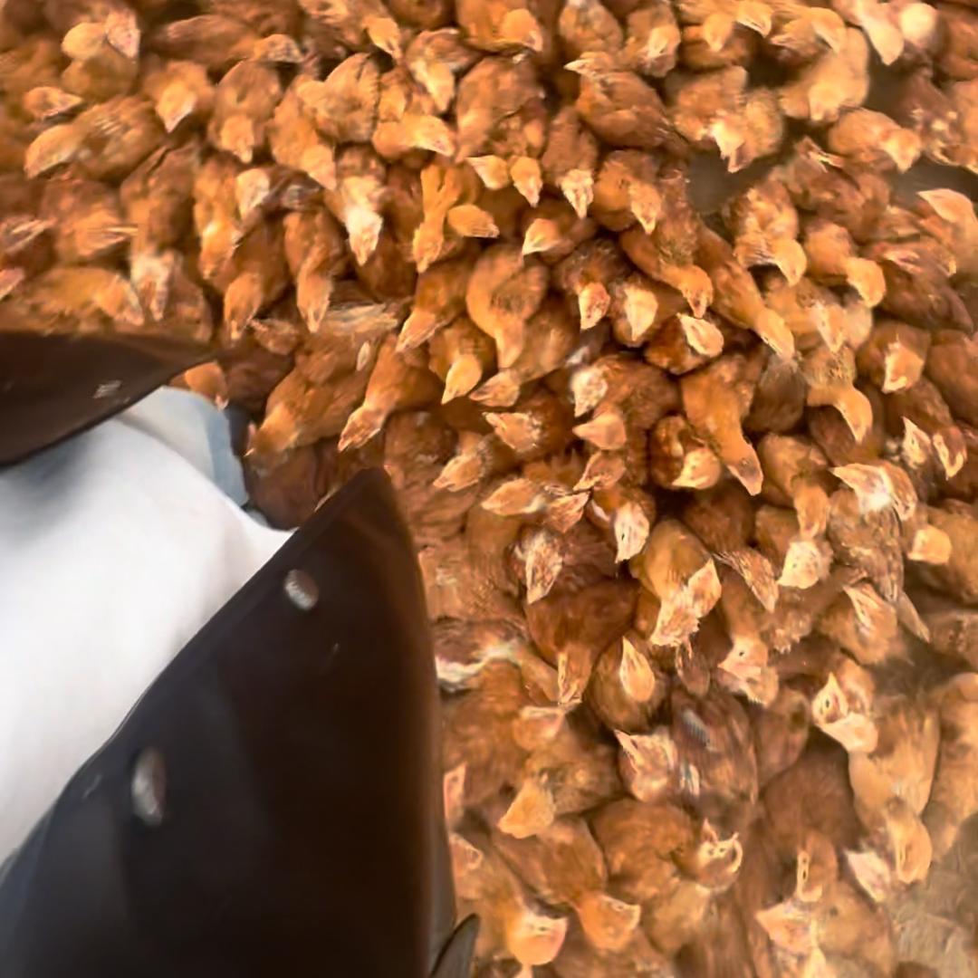 彬州筑巢养殖农民专业合作社