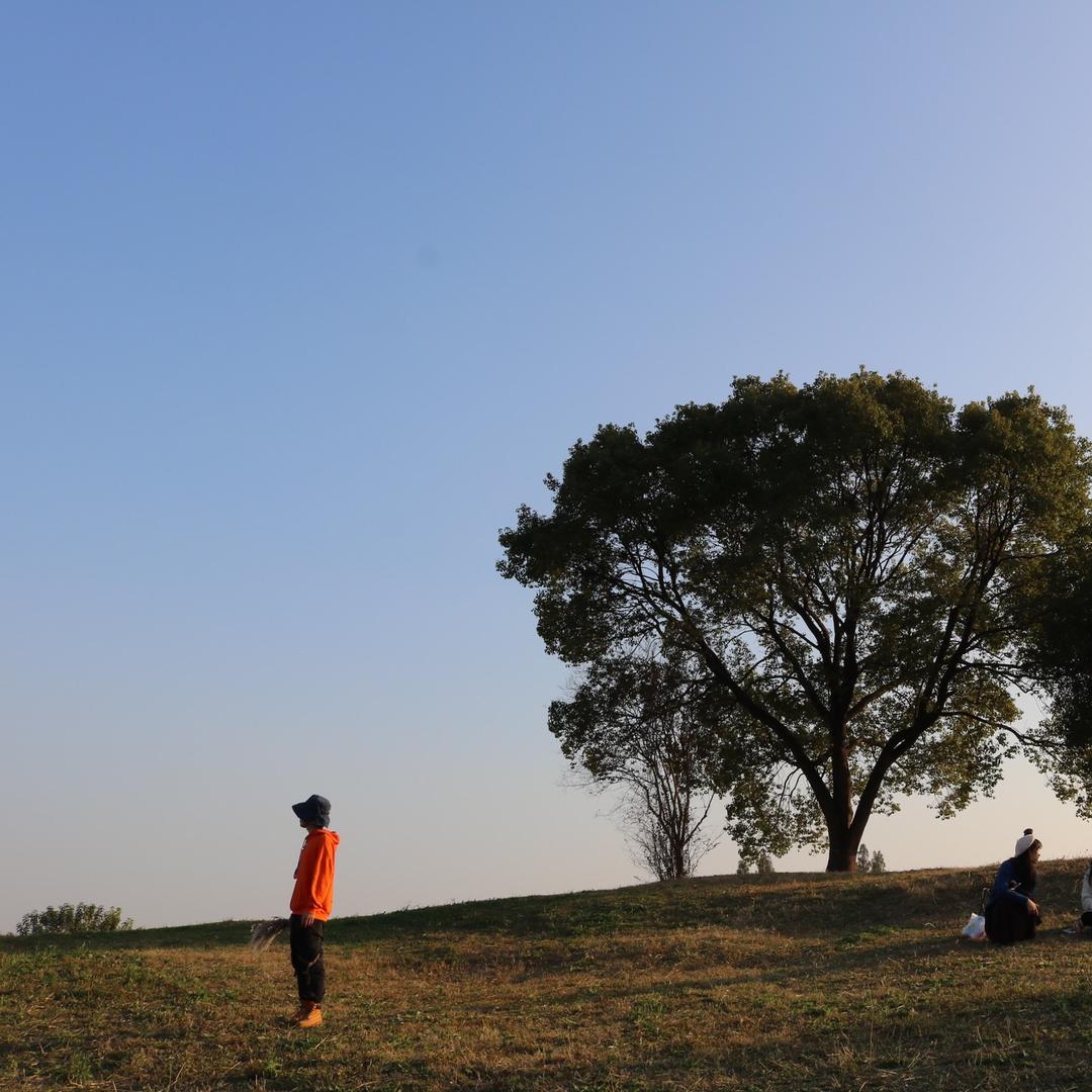 有钱人都在看的短剧