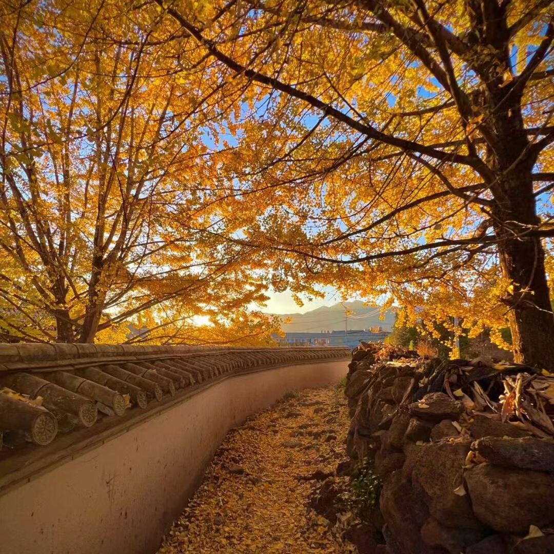 🌹就娜样吧🌹