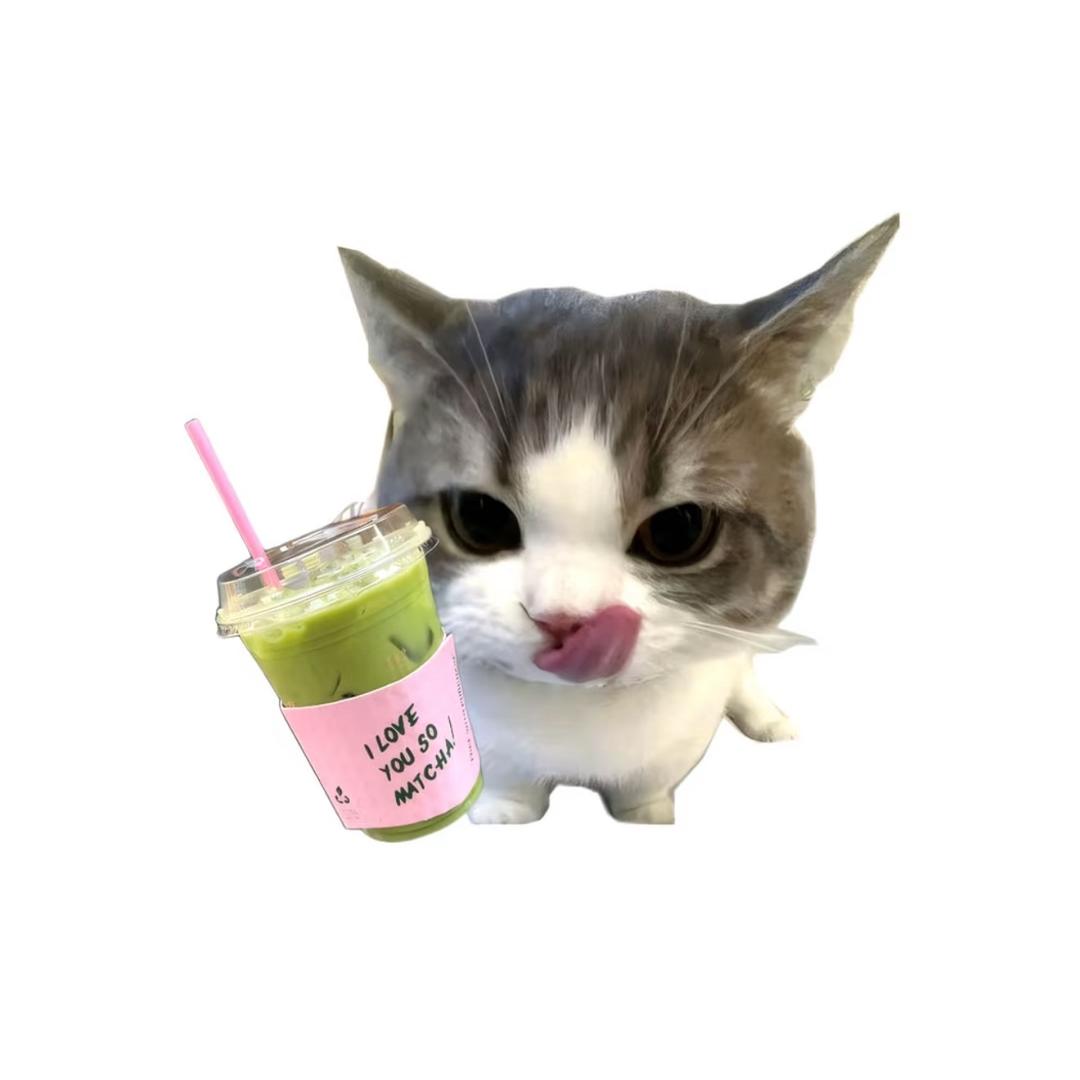 爹地驾到通通闪开