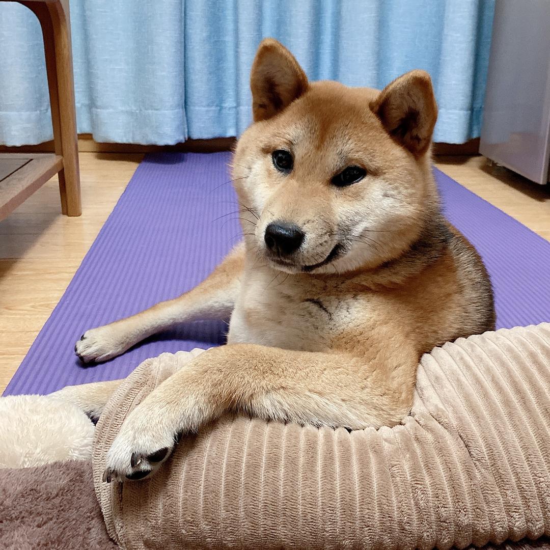 阿桃子 ✨
