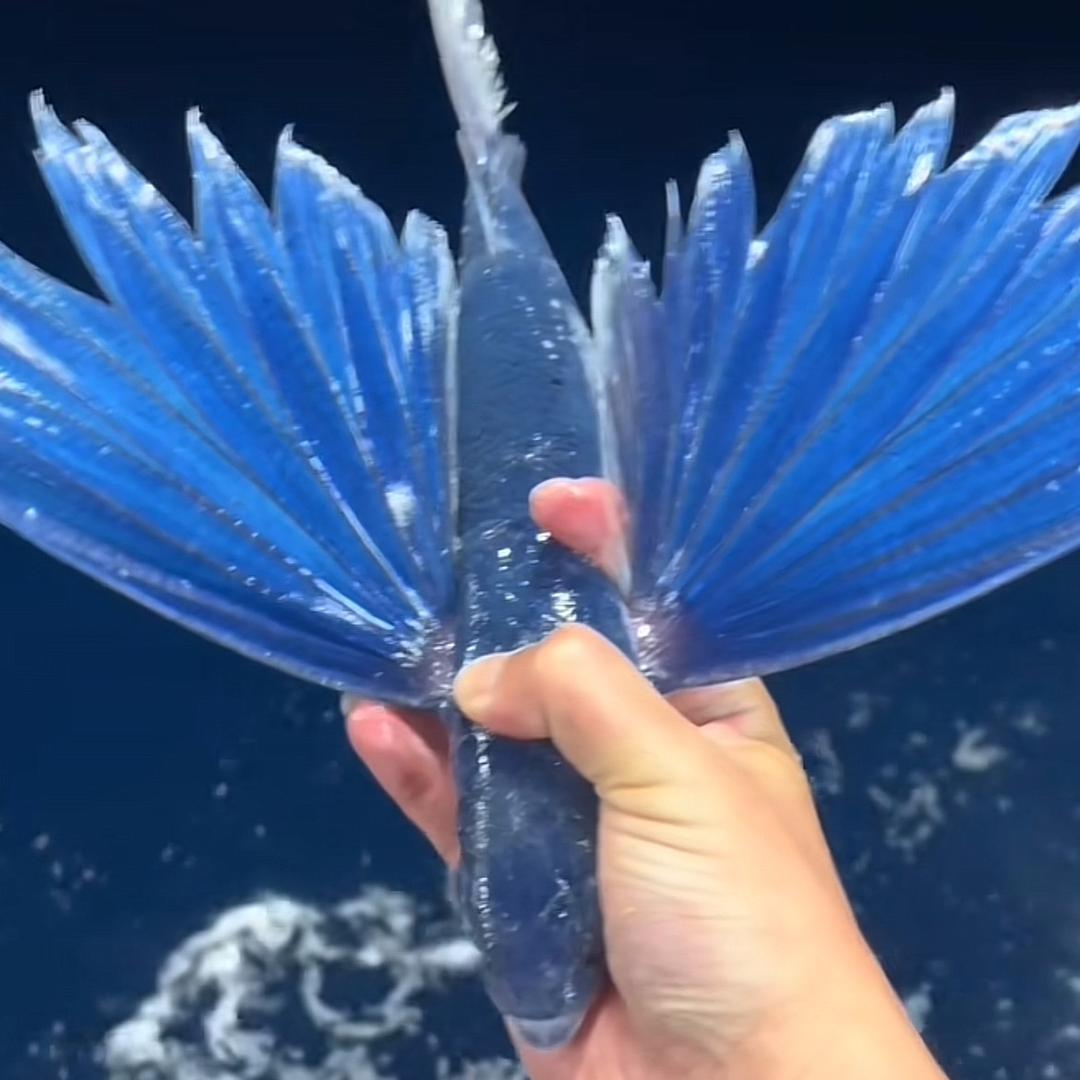 @幸运咖