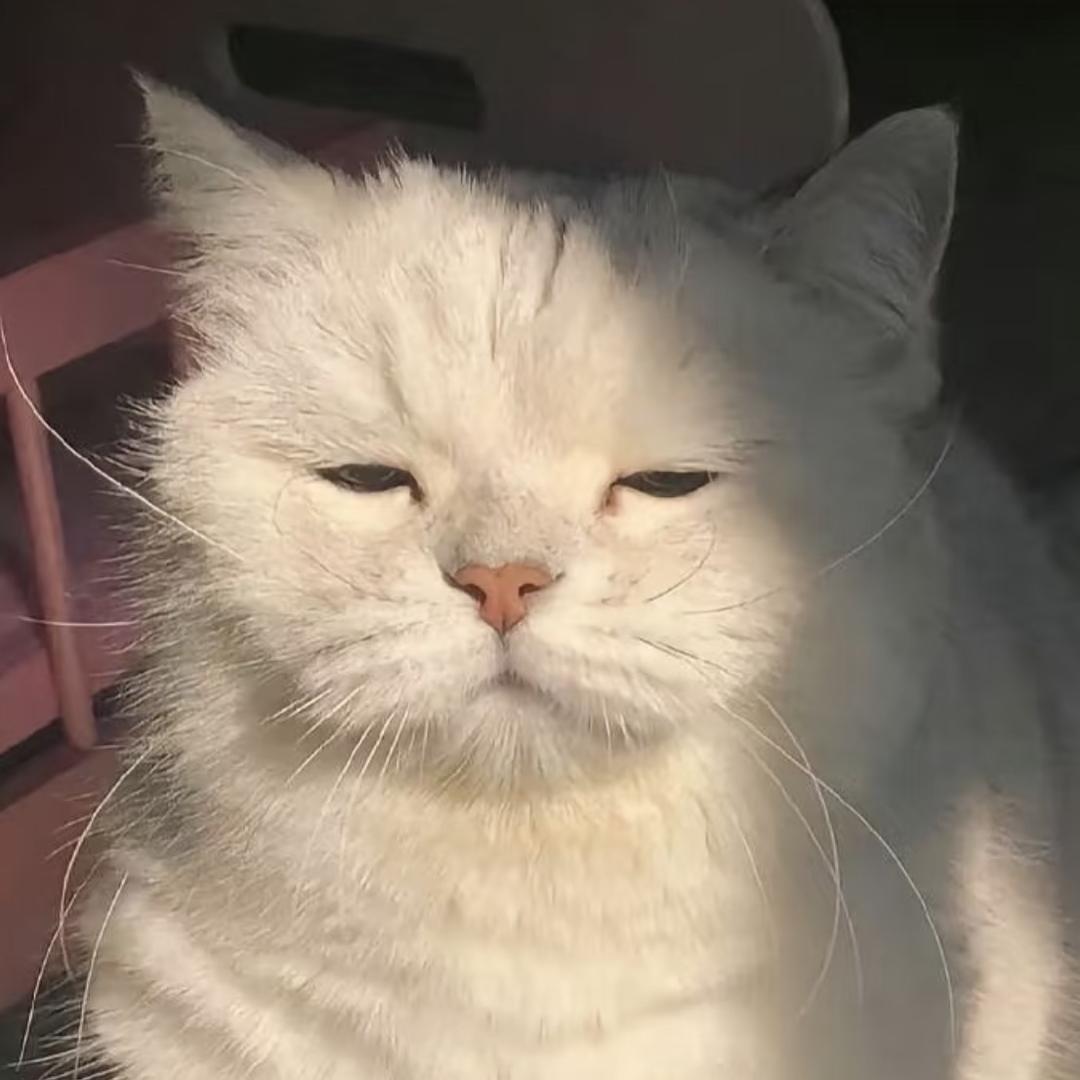 Oiii.