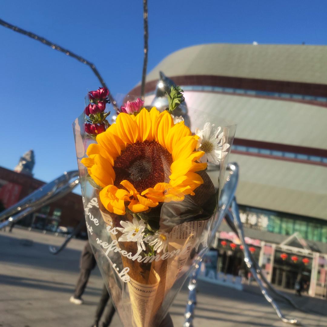 论成败人生豪迈