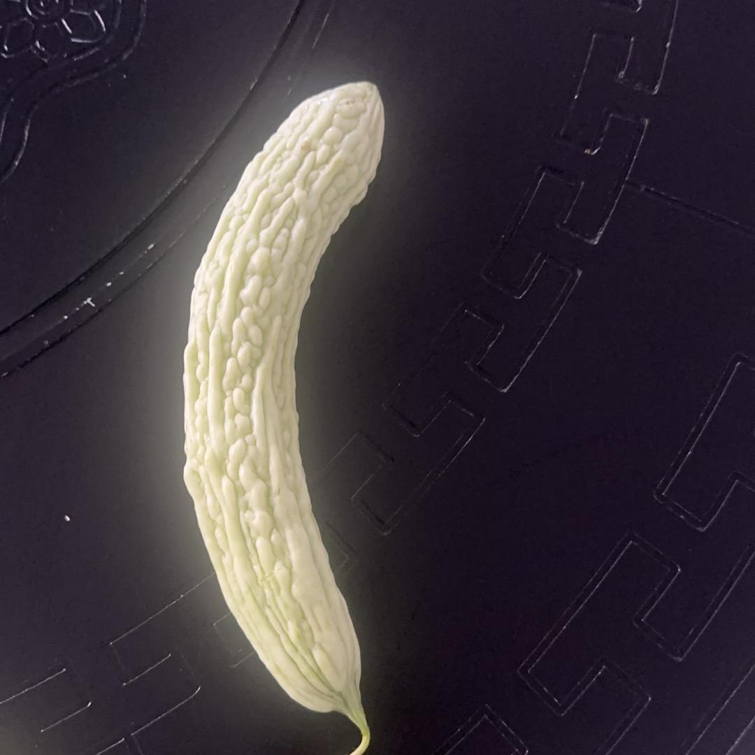 今生无悔