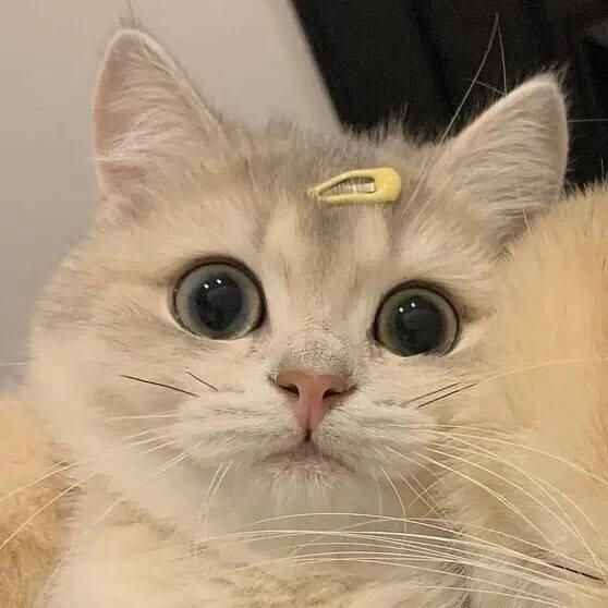 YIa