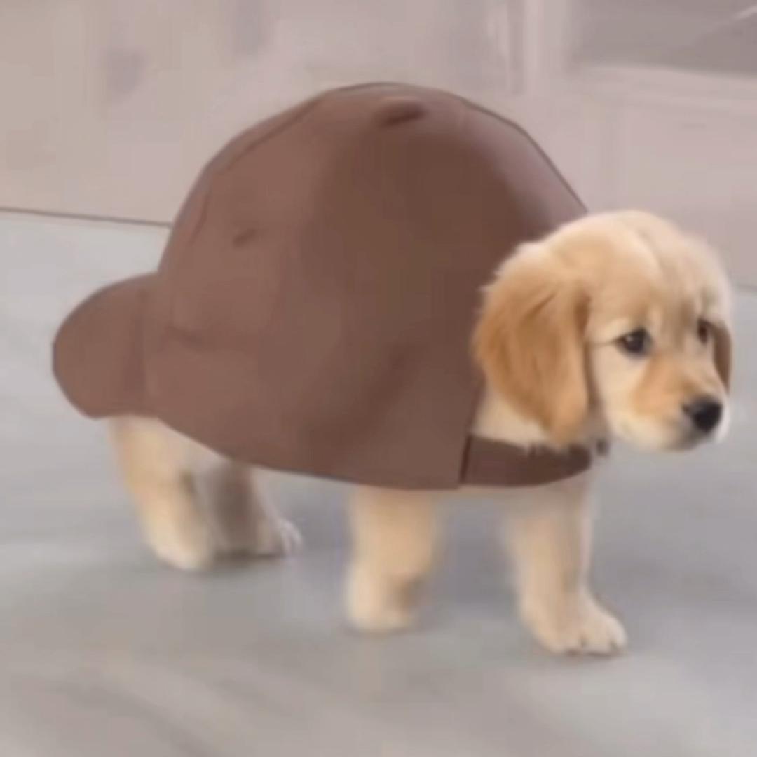 特价大米加价卖