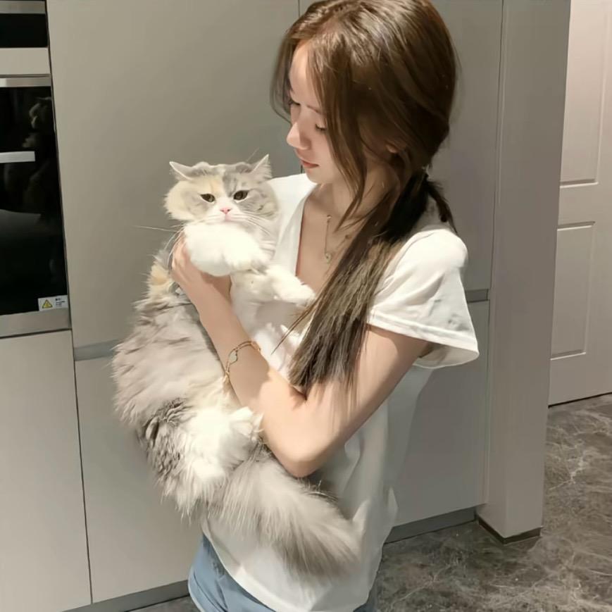 薯条大王（养号版）