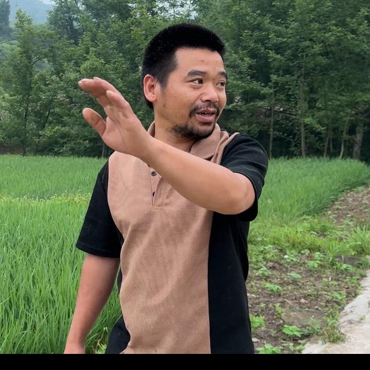 姜哥收猪日常