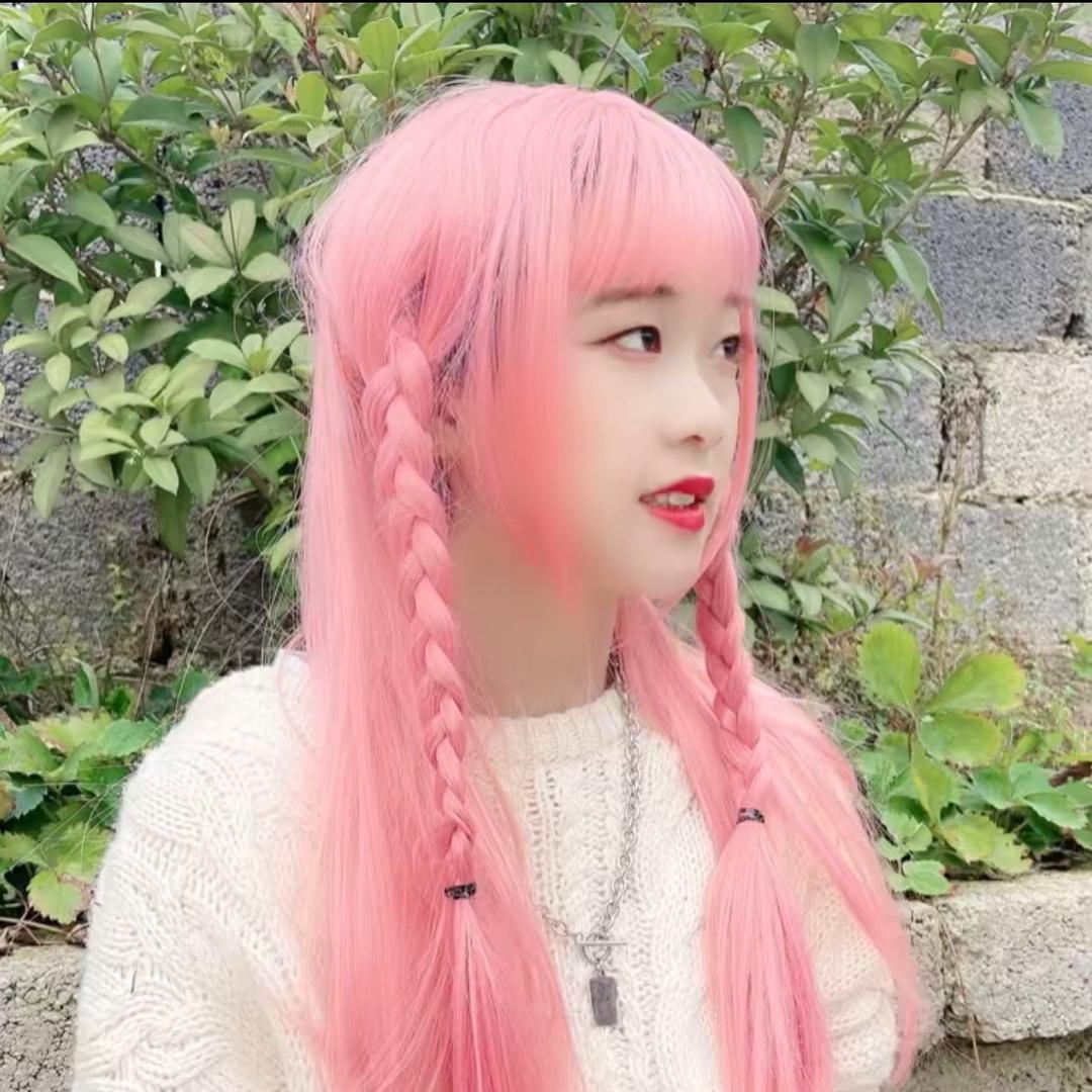 🐒猫猫猫🐰