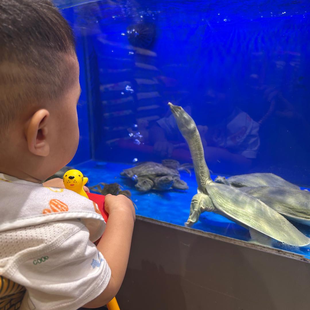 🍼刘烨的朋友圈