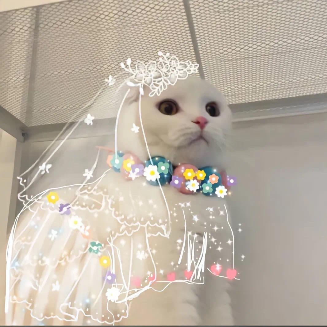 时光糟蹋人心。