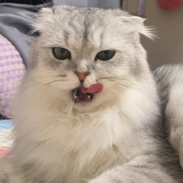 谢谢你🤭