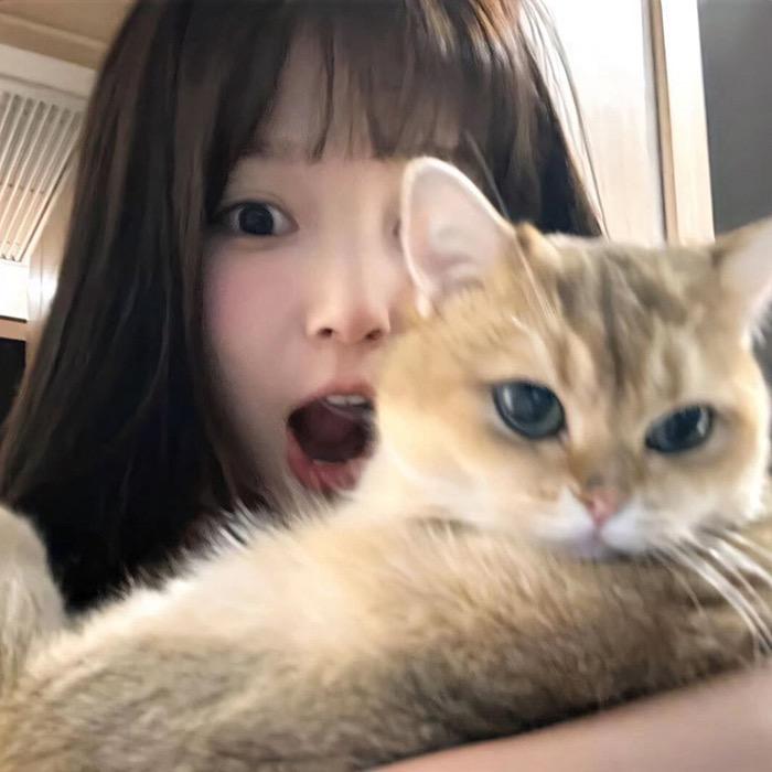 𝙆𝙞𝙤猫