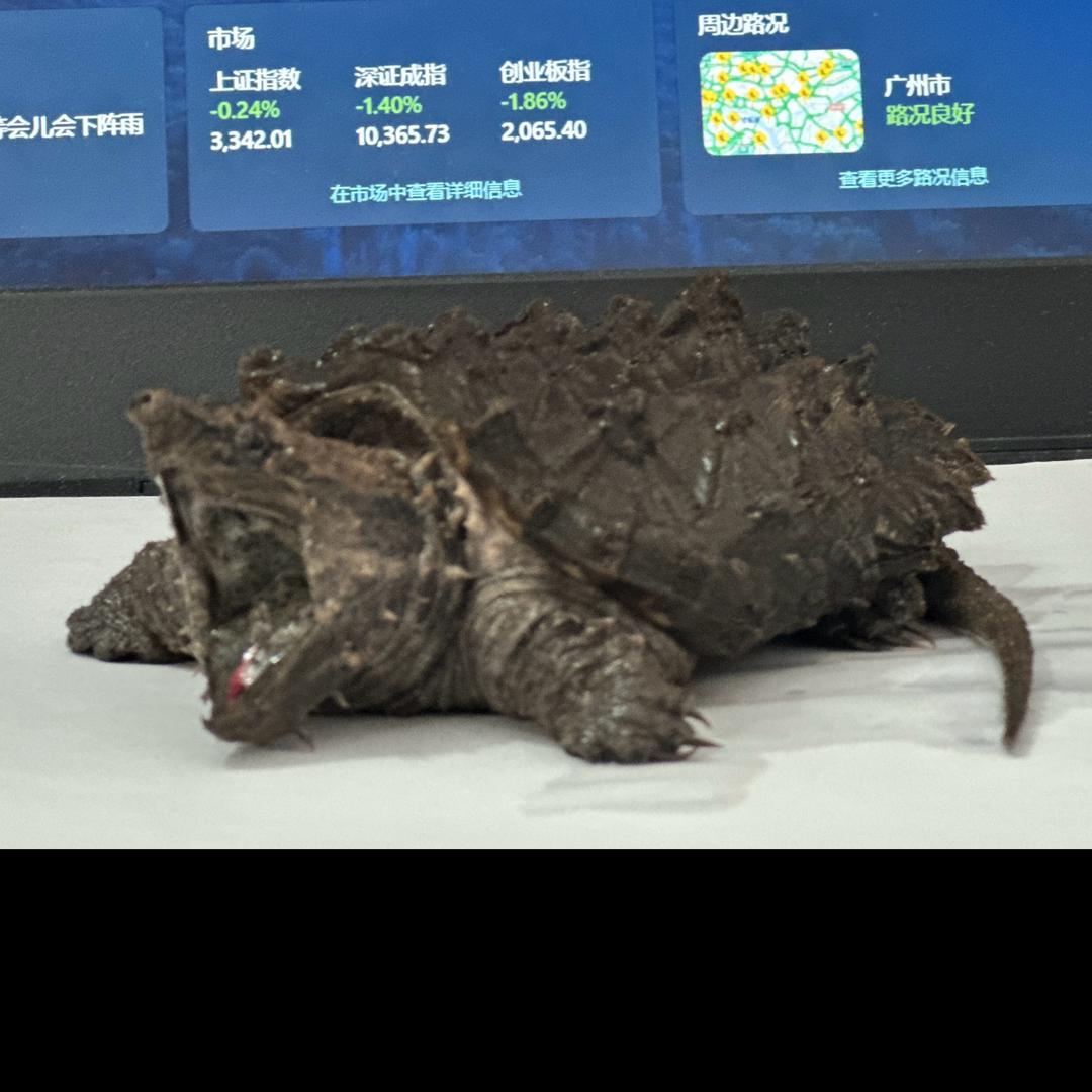 福兮