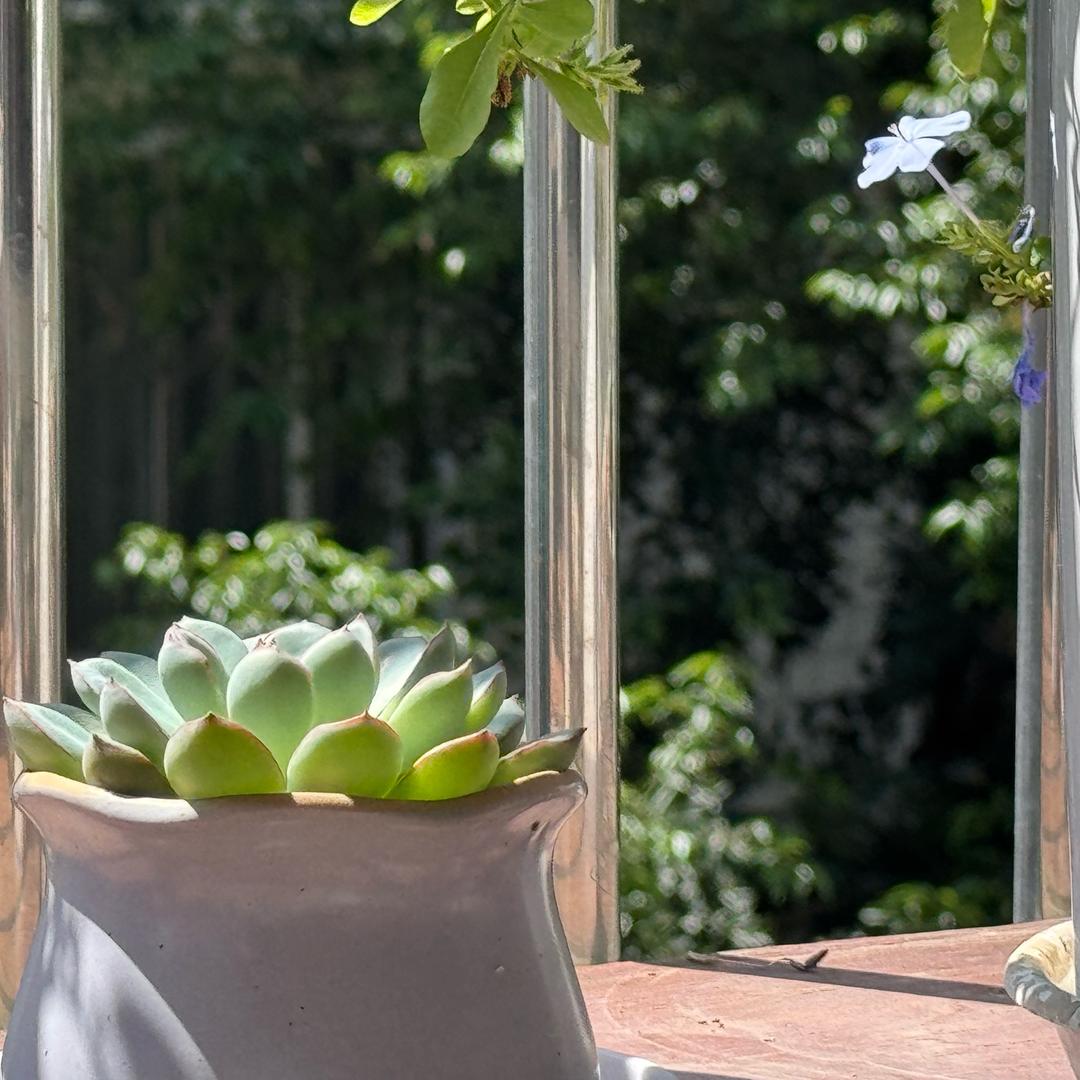 当一阵风吹过～