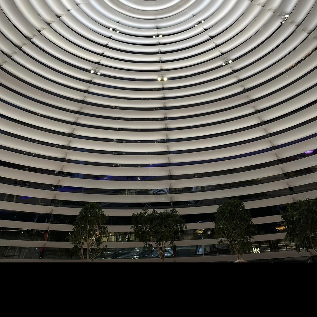 萤火虫就是好看