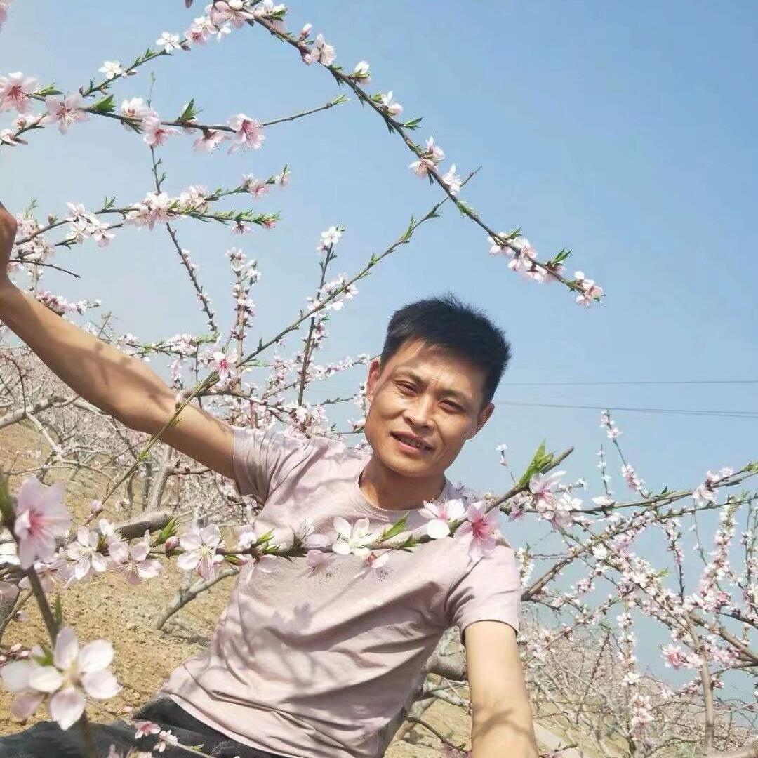 乡村农产品（明哥）