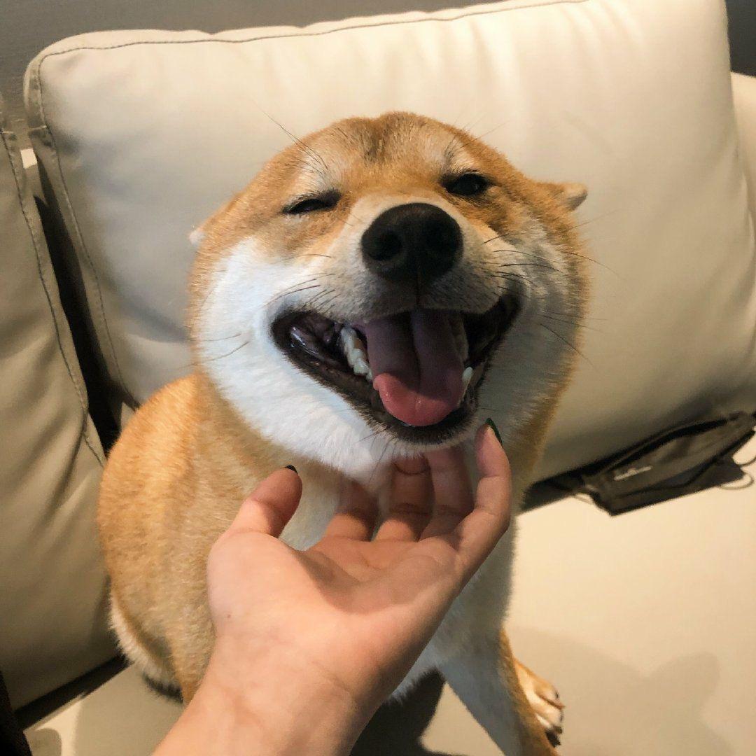 风中有朵雨做的云～