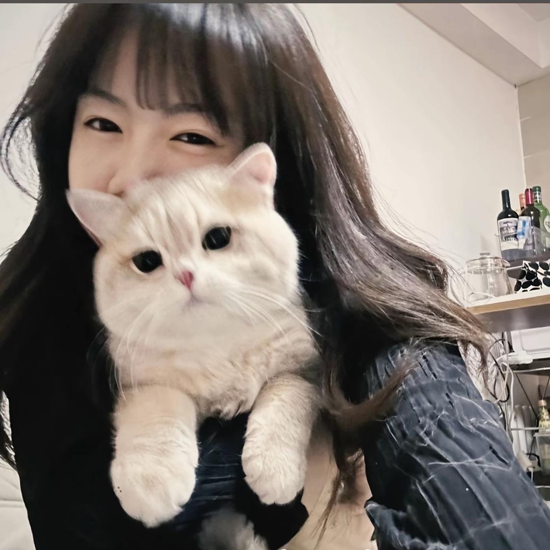 金豆豆