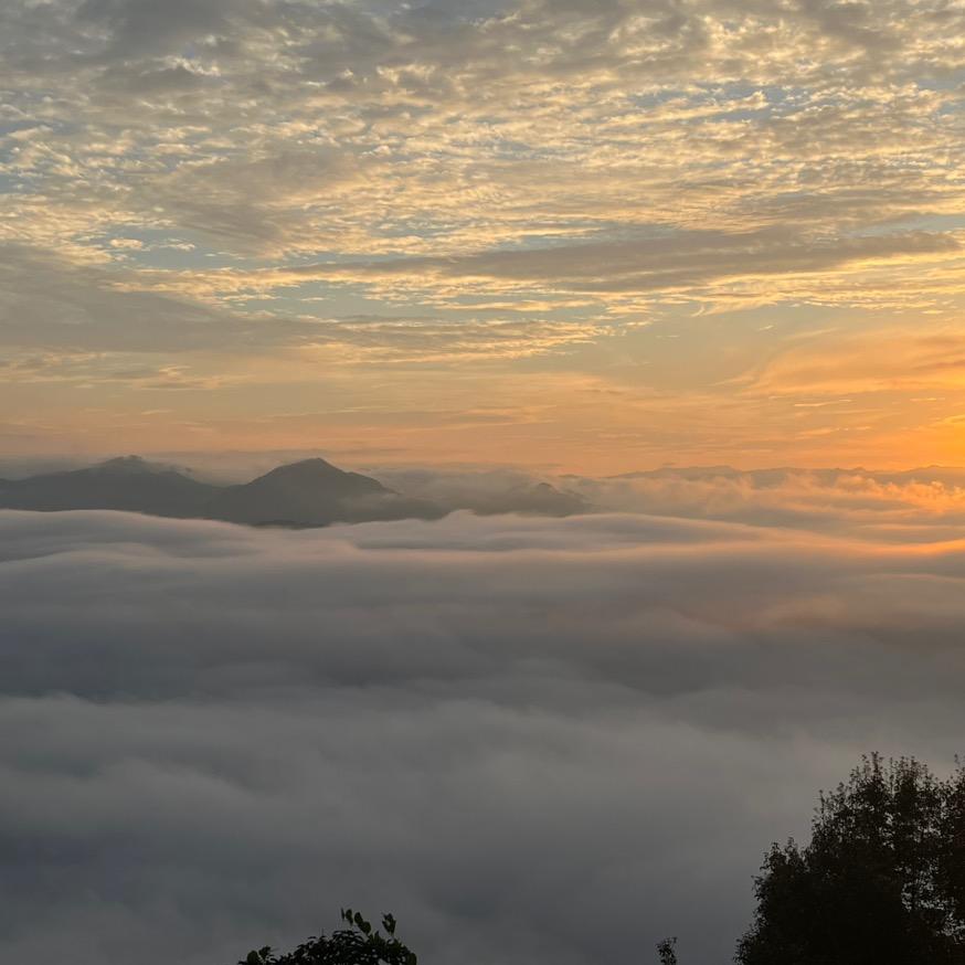 不做牛马胜似牛马
