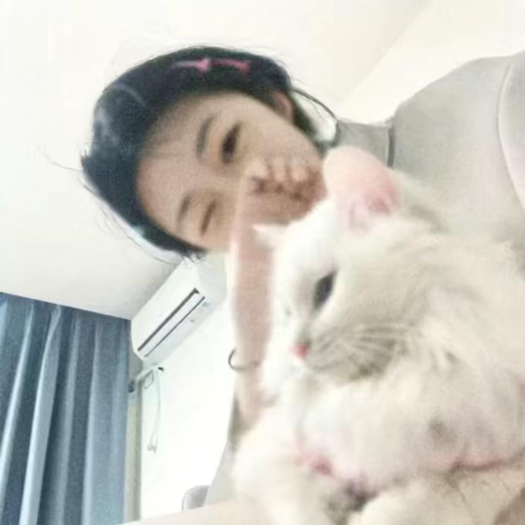 小猫统治世界🧊