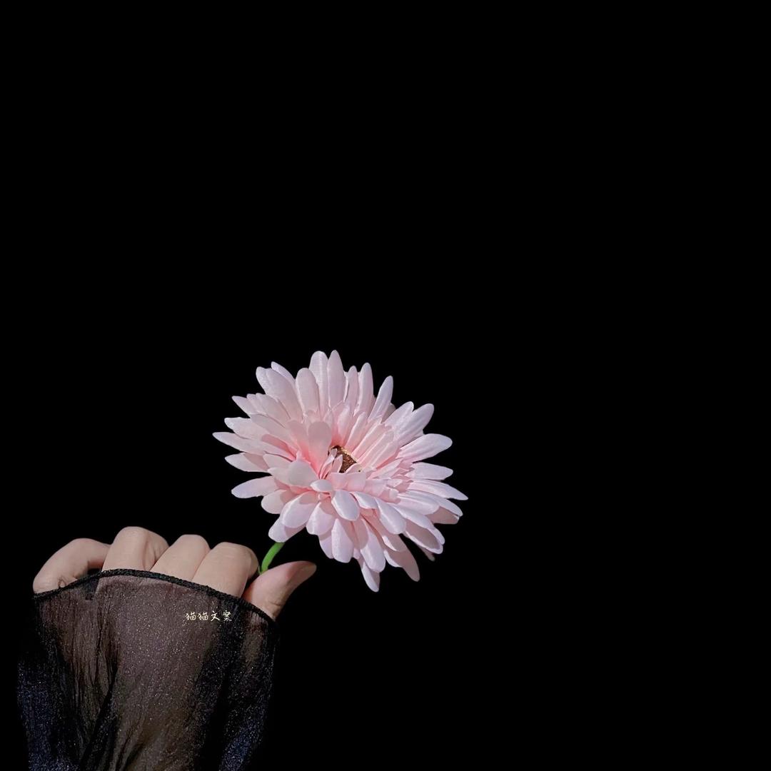 ᥫᬊ࿚xiao薛᭄ꦿ໌ᮨ࿐