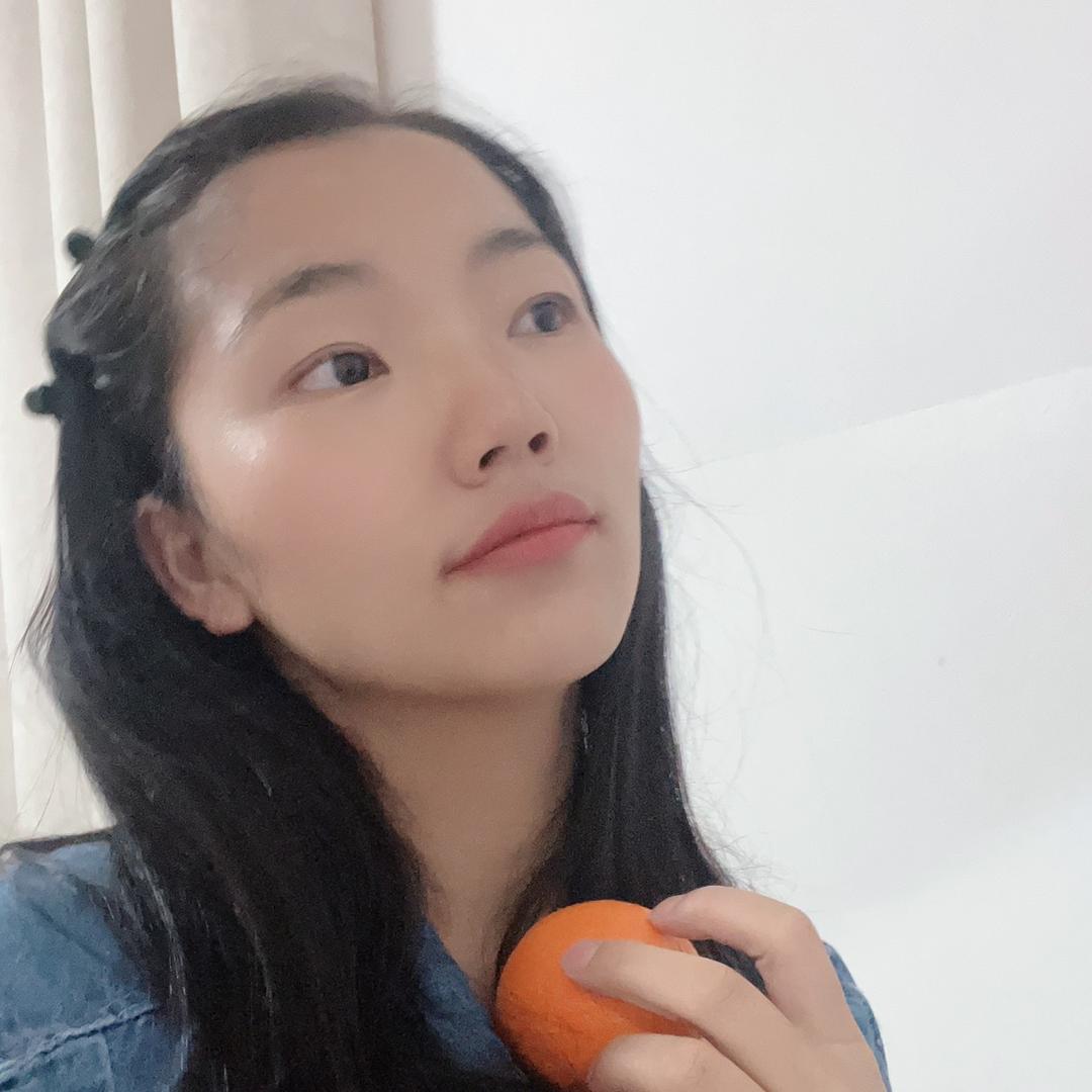高镇手机电脑维修