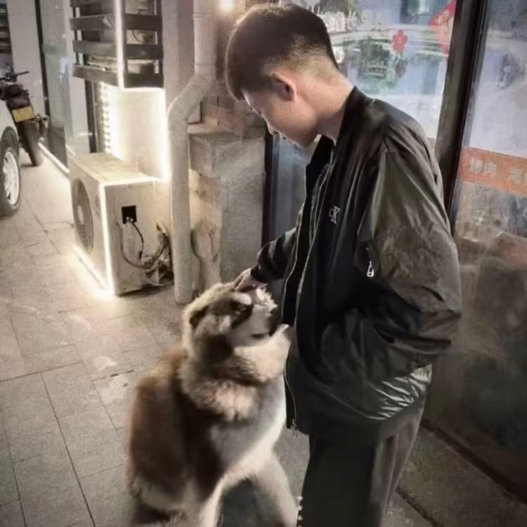ㅤ  ㅤ ㅤㅤ