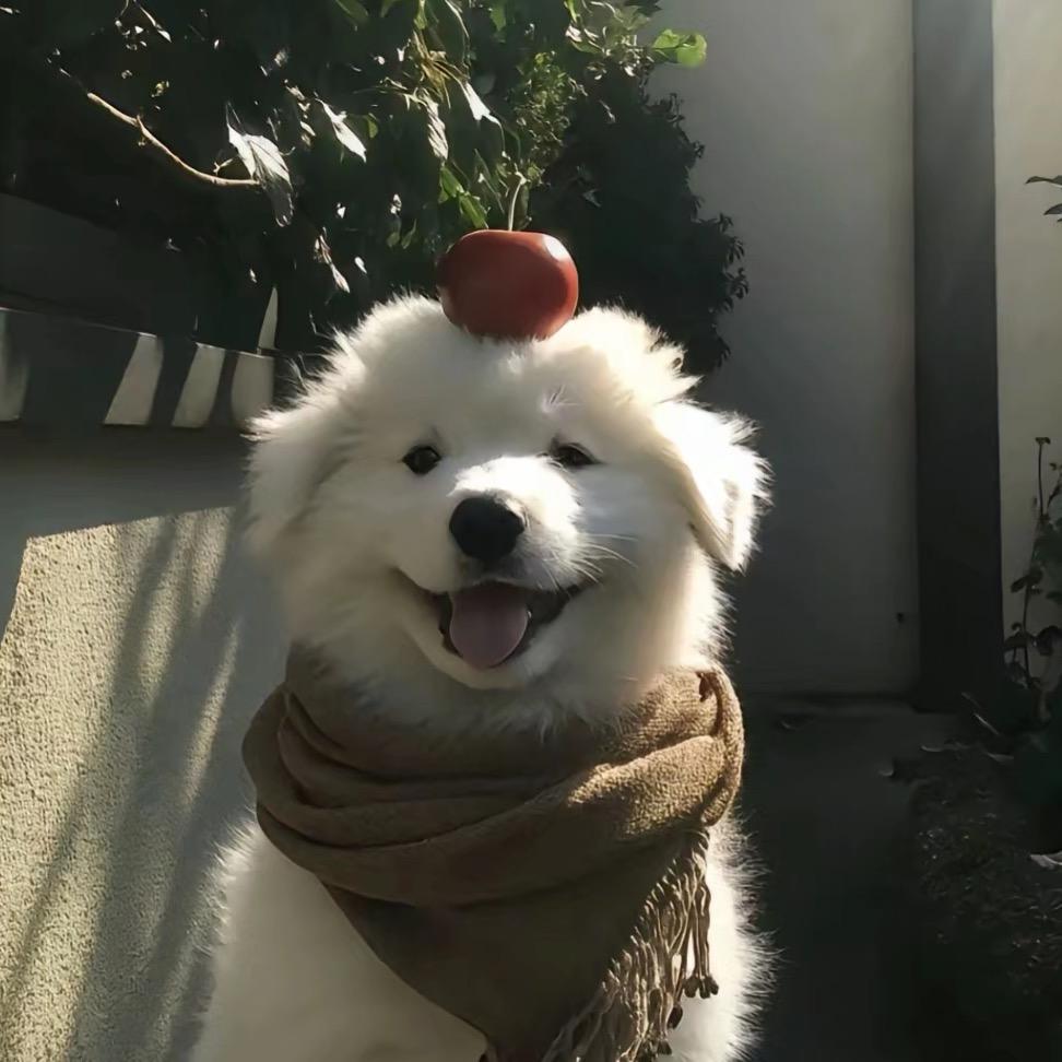 予野.