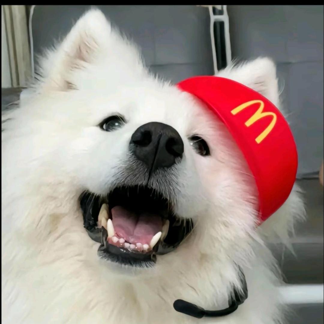 萨摩有点野.