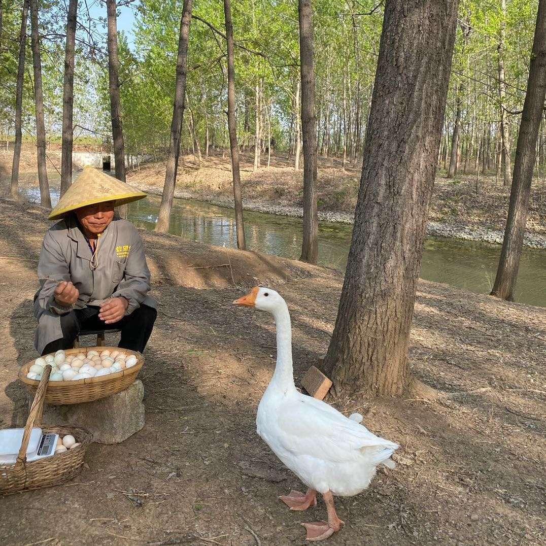 zaliang1812002