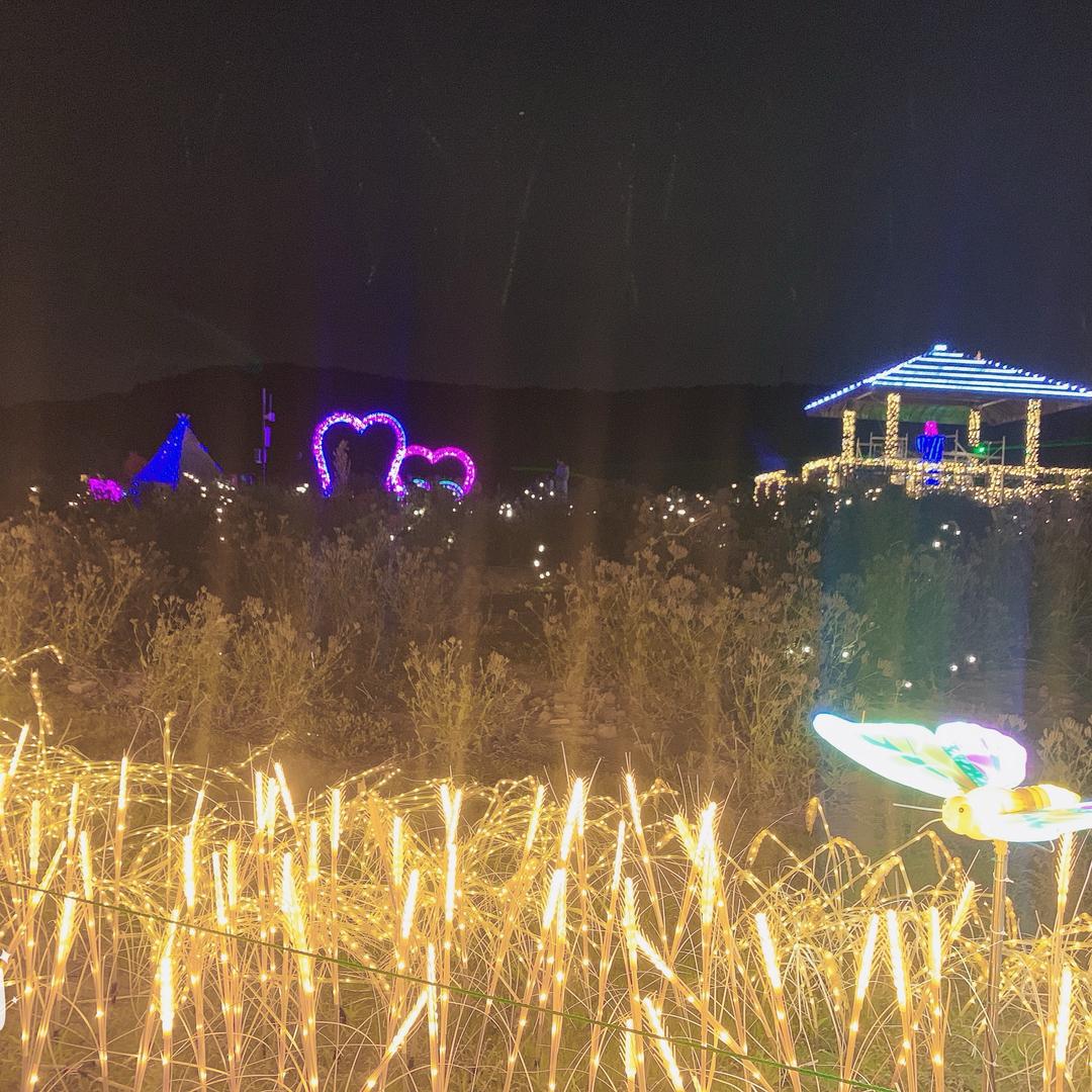 小万万