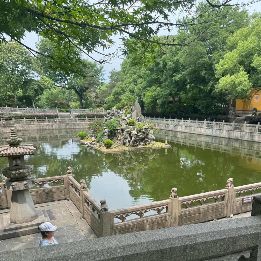泡泡🫧