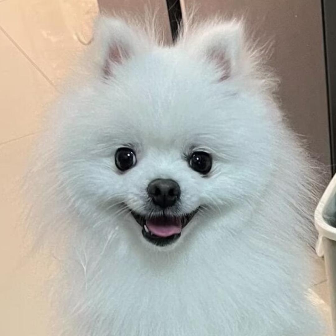 元旦🍀。