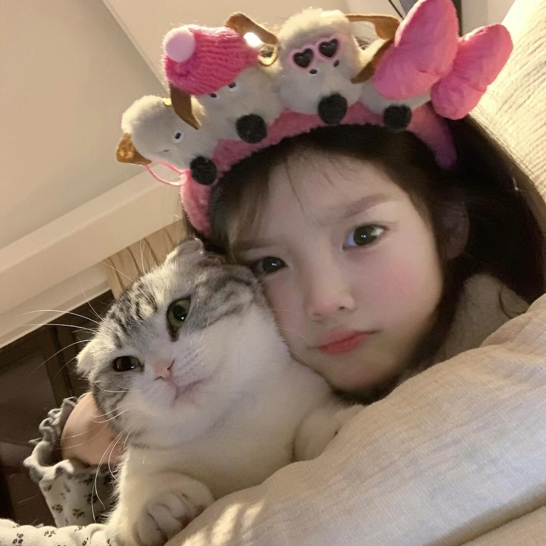 不是小猫🐱