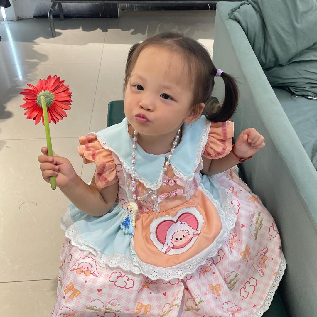 依然毛线🧶
