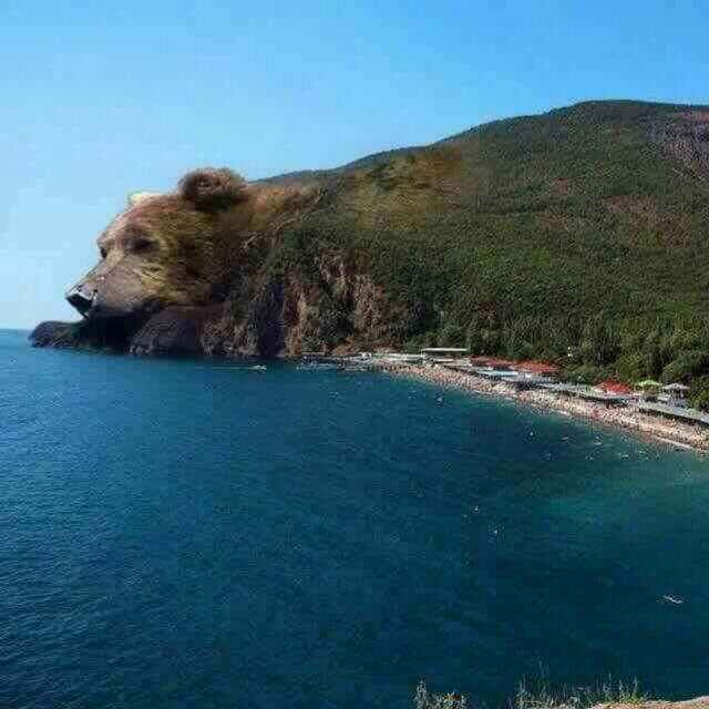 Dream