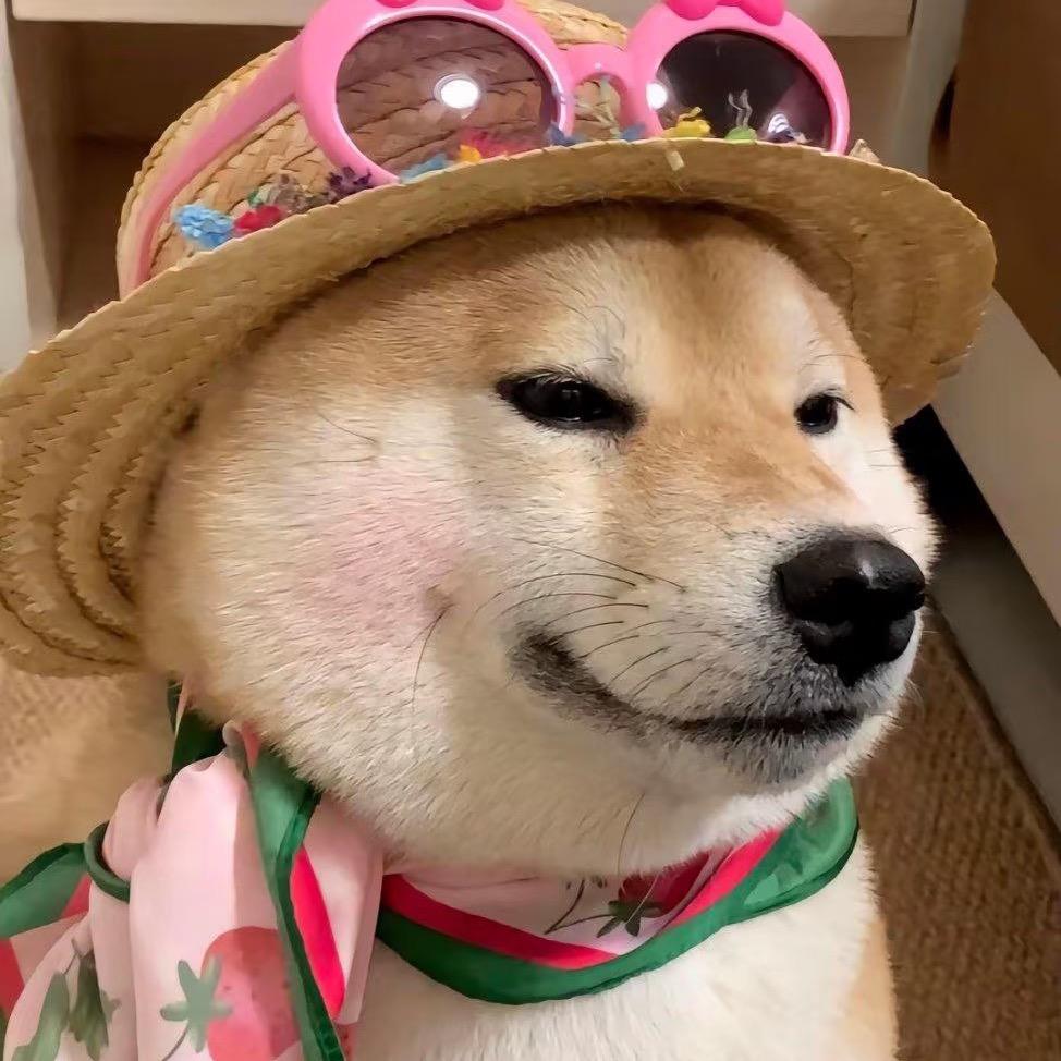 困鱼