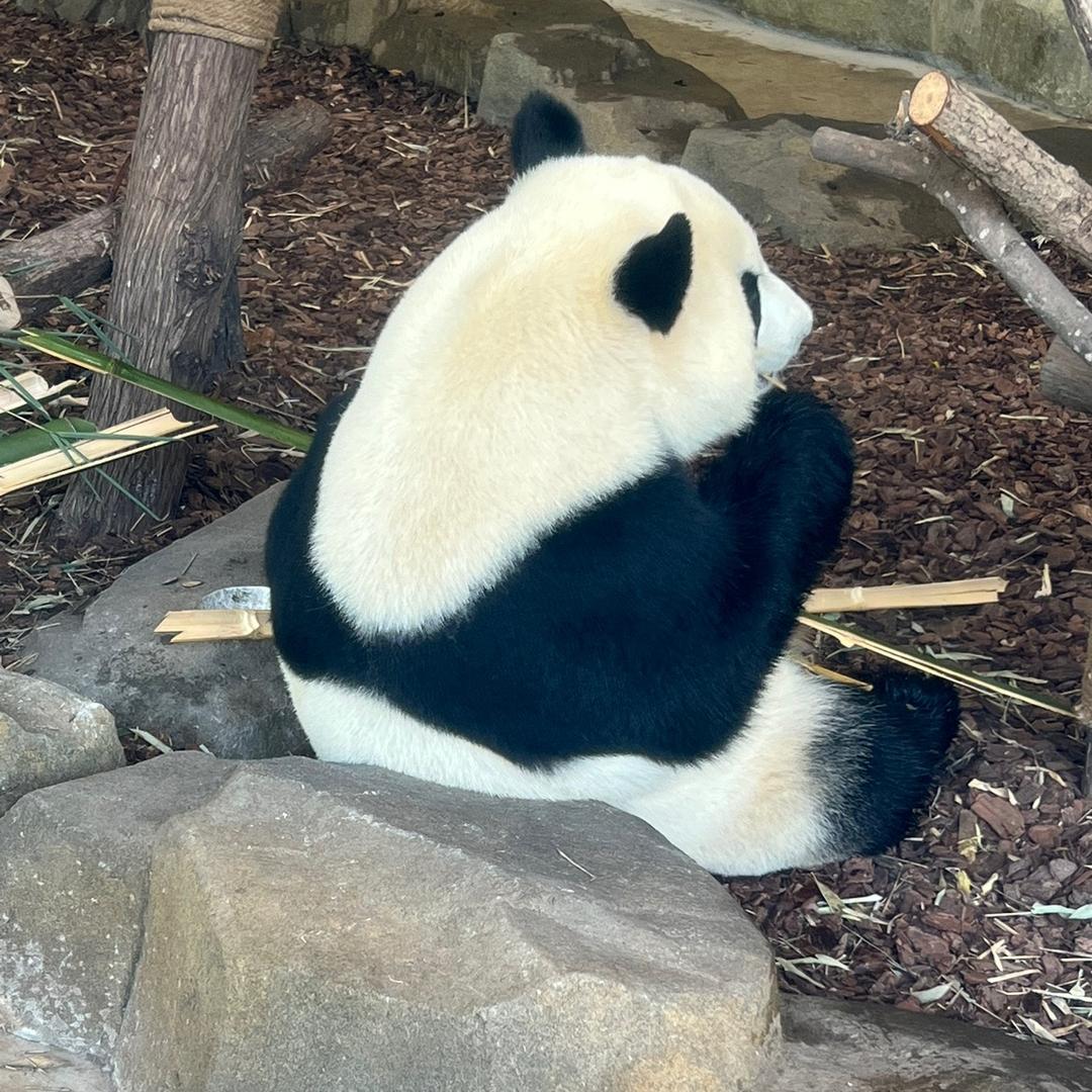 我赶时间