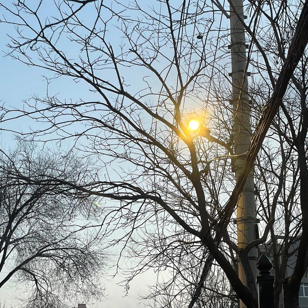 小李爱烤羊肉串