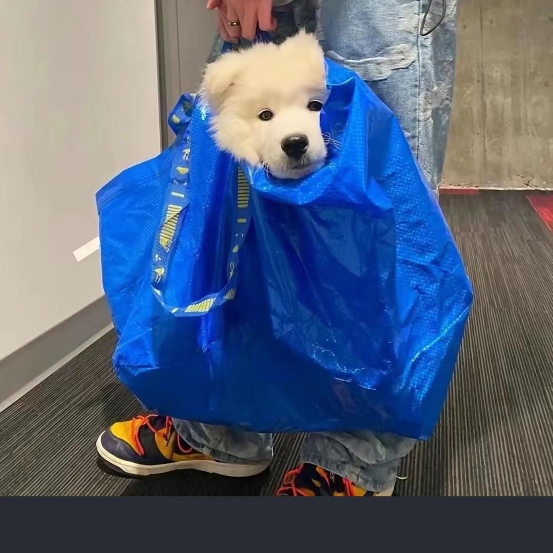 住隔壁的王老师