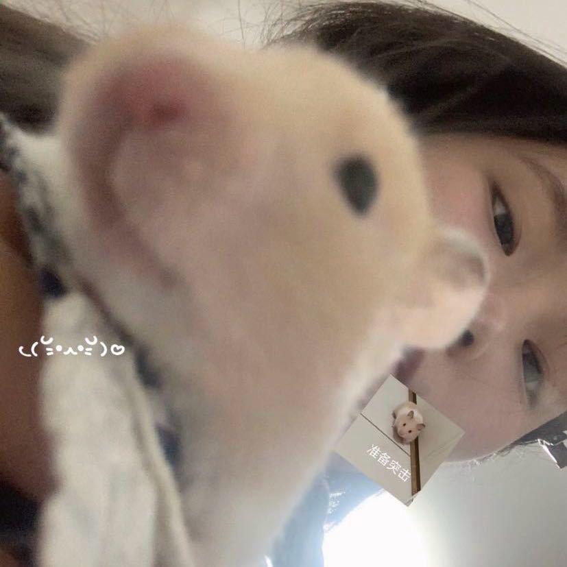 㼆心^